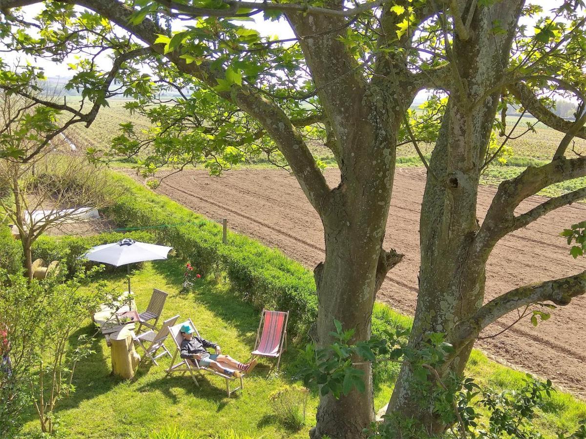 La Grange Aux Lievres, Gites Kerdoel Cléder Dış mekan fotoğraf